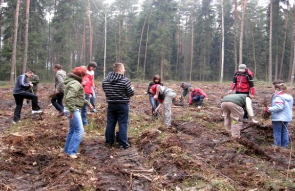 Gmina Łuków - foto