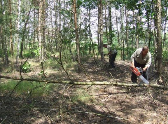 Gmina Łuków - foto