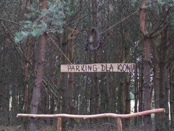 Gmina Łuków - foto