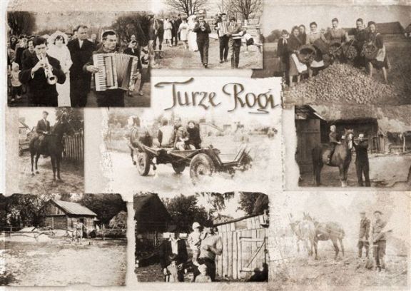Gmina Łuków - foto