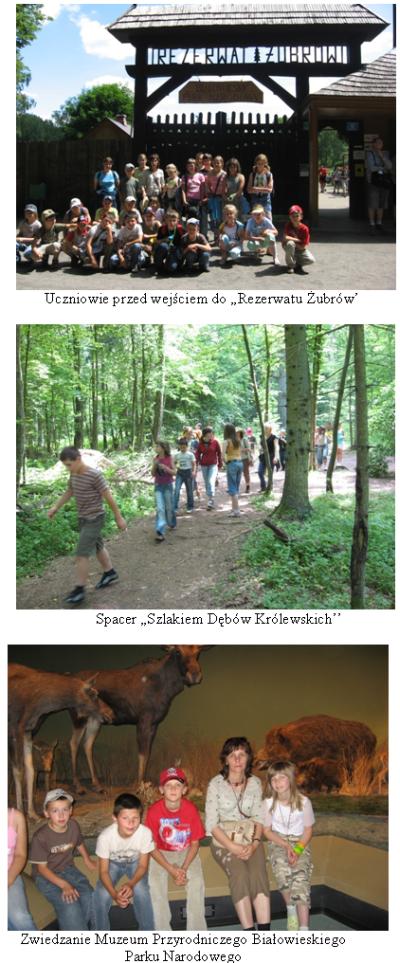 Gmina Łuków - foto